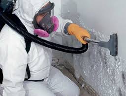 Best Residential Mold Inspection & Testing  in Raceland, KY